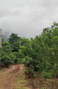 Maredumilli Resort Booking